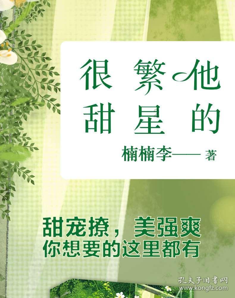 战国无双4-2