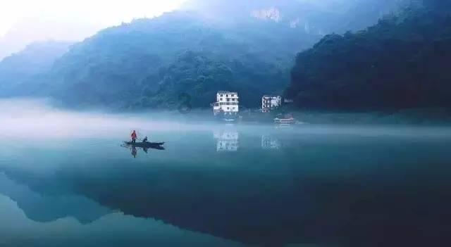 逃出茂密的丛林