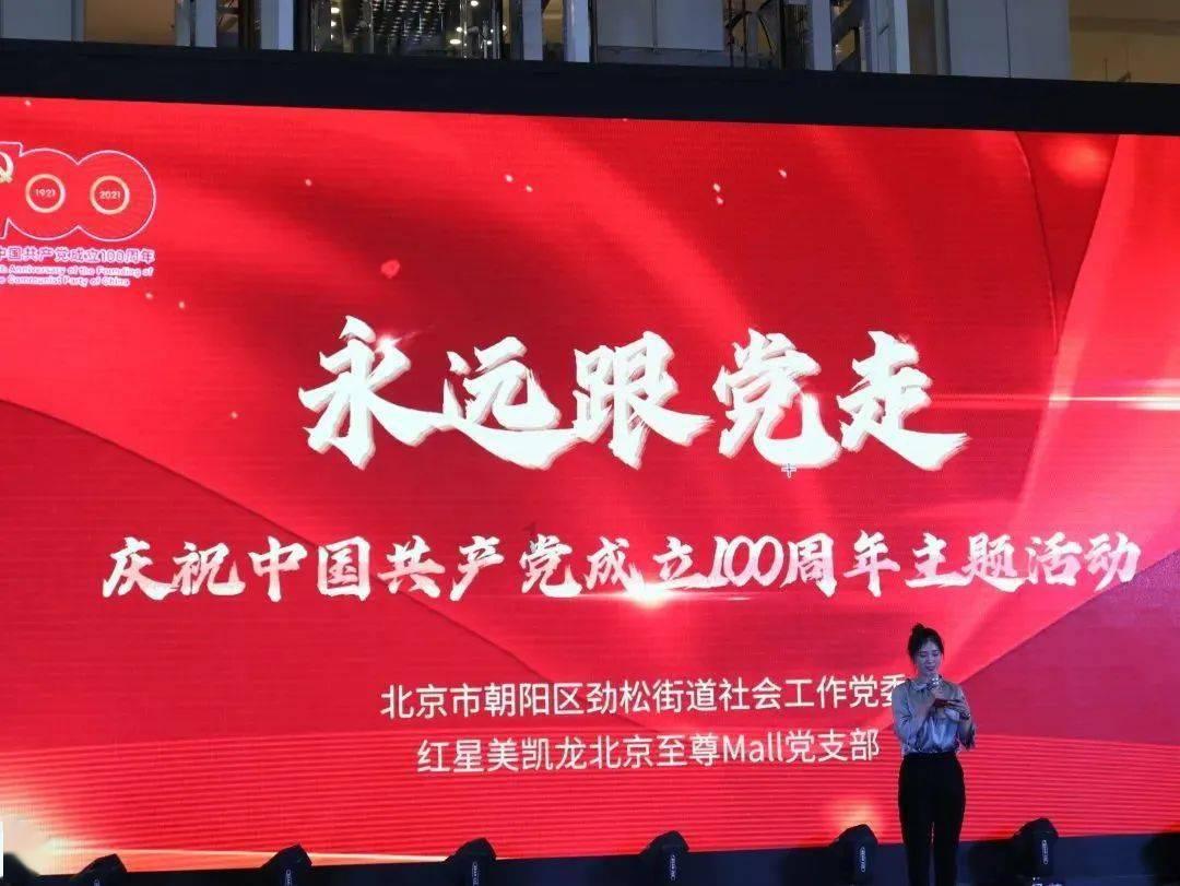 救援狗与猫